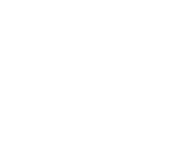Blazer Elektrisch Omgekeerd logo